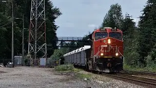 CNR Train Spotting HD: CN 2949 East, M354 highballs Fort Langley BC. 1/3 2024/6/29
