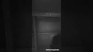 sample lang (one call away)