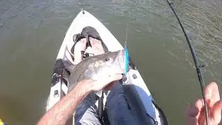 Kayak Snook Fishing in a Crocodile Infested Lagoon! - Costa Rica 2022