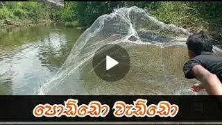 Sri Lanka is throwing nets😁😁 පොඩ්ඩෝ.. වැඩ්ඩෝ..😋😋🤣😋