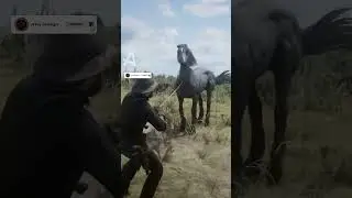 🔥 Encontr&eacute; un caballo legendario oculto de RED DEAD REDEMPTION 2 😱