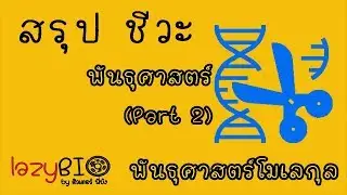 สรุปชีวะ พันธุศาสตร์ EP2 (พันธุศาสตร์โมเลกุล)