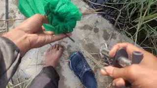 Snakehead Fishing With Pelagic Tribe - NOMAD CAST - V2 - PRO - TRAVEL ROD 