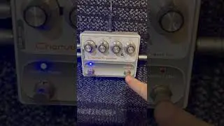 Moog Grandmother with PastFx Chorus Ensemble