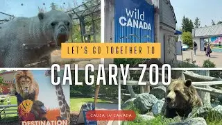 Vamos por primera vez al Calgary Zoo | Tips y qué debes saber antes de ir