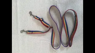 Head Collar Safety Lead for Dog Training