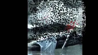 Jhootay Thay Vaaday.wmv