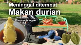 Langsung Pindah Alam MENINGGAL. Minum Kopi Sambil Makan Durian, Ini 17 Pantangan Durian