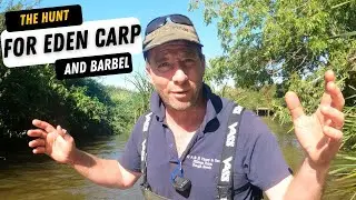 Как поймать карпа в малых реках: на самом деле я охотился за усачом!