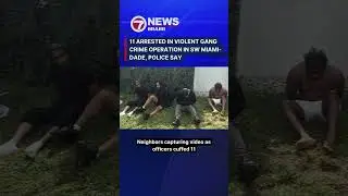 11 arrested in violent gang crime operation in SW Miami-Dade, police say