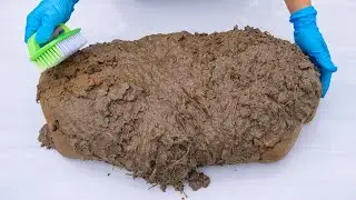 Plush Pig Mud Coca Cola Cleaning Transforms Dirty To Clean Perfect Before And After. Satisfying ASMR