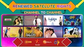 2022 Telugu Renewed Satellite Rights | #GeminiTV | #StarMaa | #ZeeTelugu | #ETV | TTU | Subscribe |