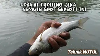 Cobalah Trolling Umpan Di Spot Seperti Ini || Mancing Nilem