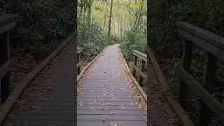 A little path to part of Heaven