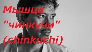 Мышца 