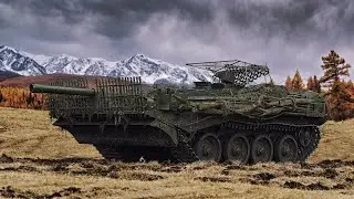 Strv 103B - Время стоять в кустах, или проявлять агрессию?!