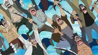 Luffy Damn Daniel To White Beard meme mp4. One Piece