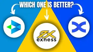 Exness Vs Delta Exchange Vs BingX: Which One Should You Pick?