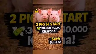 🐖2 Pig Farming खर्चा ? 💸 Sach Jaan Lo ! #shorts #shortsvideo #shortsfeed #shortsviral #viralvideo