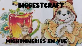 #biggestcraft#pointdecroix#crossstitch #broderie #embroidery#stampedcrossstitch #joysunday#unboxing 