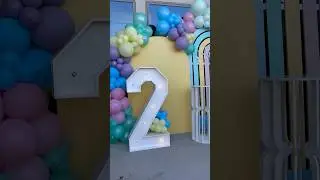 Ms Rachel birthday theme paty #msrachel