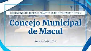 Concejo Municipal de Macul - Comisiones de Trabajo / 25-11-2025