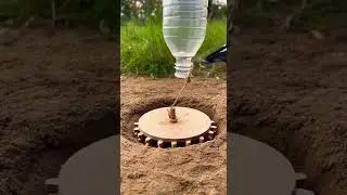 New DIY Bird Trap Using Paper Catch Birds Easily #shorts #DIY #birdwatching