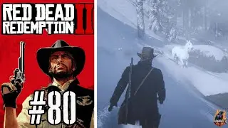 Die jagt nach Pegasus! #80🤠 - RED DEAD REDEMPTION 2 [LET'S PLAY/ FACECAM]