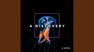 A Discovery