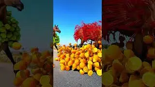 Horse loaded fruits special effects c4d 😯 #viralshorts #shorts #vfx #shortsfeed #shortsyoutube