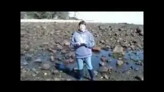Tide Pooling at the Drowned Forest