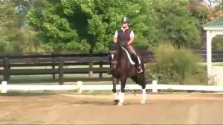 Mary Flood Dressage Today Video 