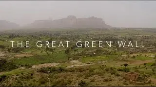 The Great Green Wall: Documentary aims to raise awareness of troubled climate project