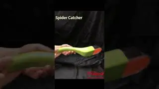 Plastic Portable Four Color Pest Catcher Observing Insect Tool Live Catch Trap