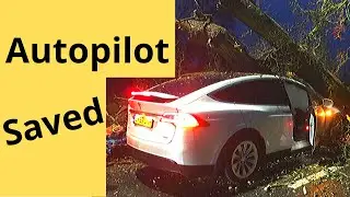 Tesla Autopilot Saves Family from Crashing Tree in Storm Dennis