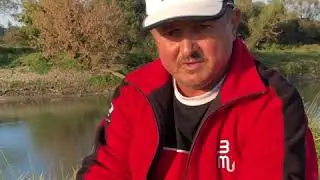 viermi colati pentru feeder