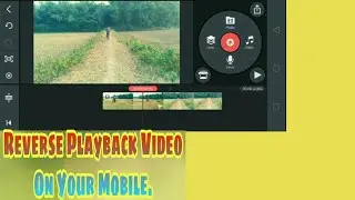 Reverse Play Back Video Effects On Your Kinemaster apk 2020 Best Tutorial Bangla.