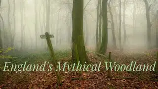 England's Mythical Woodland