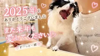 2025年のもこ納め♩