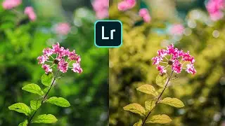 Adobe Lightroom CC Mobile Tutorial [FAST & EASY]