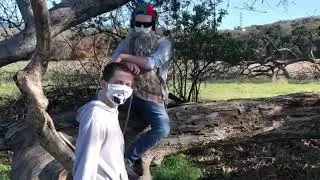The Executioner