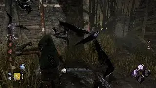 Meg vs The Crow Lady... - DBD