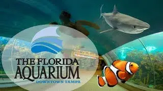The Florida Aquarium Downtown Tampa