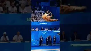 Diving Competition #animals #Fun #shorts #olympics