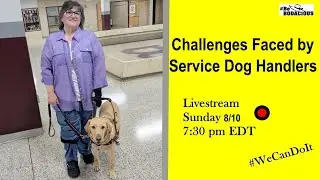 Challenges Faced by Service Dog Handlers | Real Stories & Tips