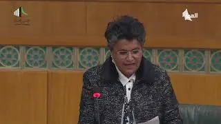 مداخلات النائب -  صفاء الهاشم  11-12-2018