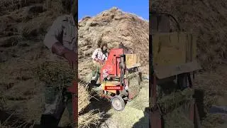 Fodder shredder in Iran!😄