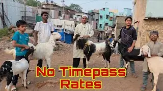 Yeh Rate Main Koi Bakre Diya Toh Free Lejao | No Timepass Video | Hafiz Gazi Sahab Antophill Mumbai