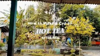 Procedur text_How to make a cup of hot tea after rain.