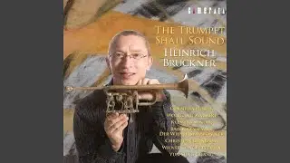 Tafelmusik II in D Major, TWV 55:D1: Ouverture - Lentement - Vite - Lentement